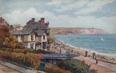 Esplanade en Culver Cliffs, Sandown, I of Wight door Alfred Robert Quinton